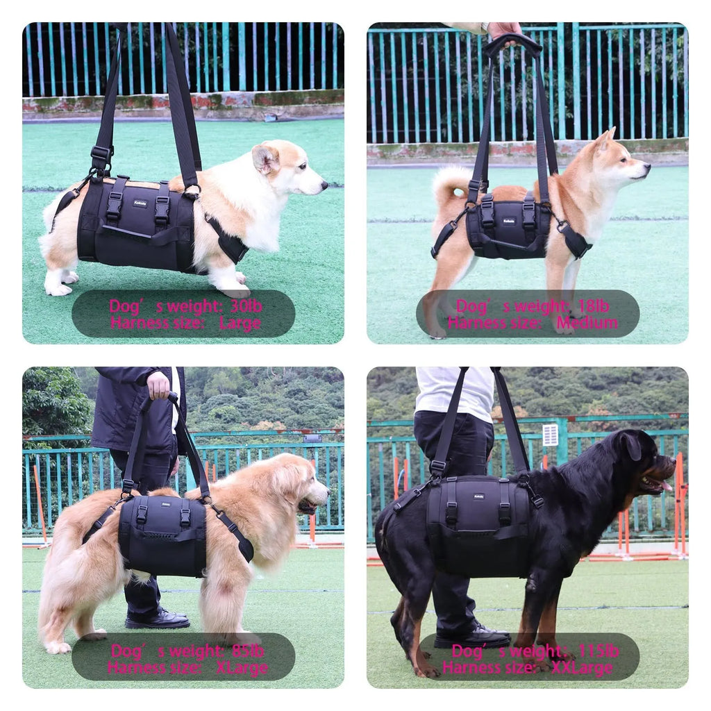 Black Oxford cloth dog harness shown on a dog, highlighting adjustable straps and chest support.