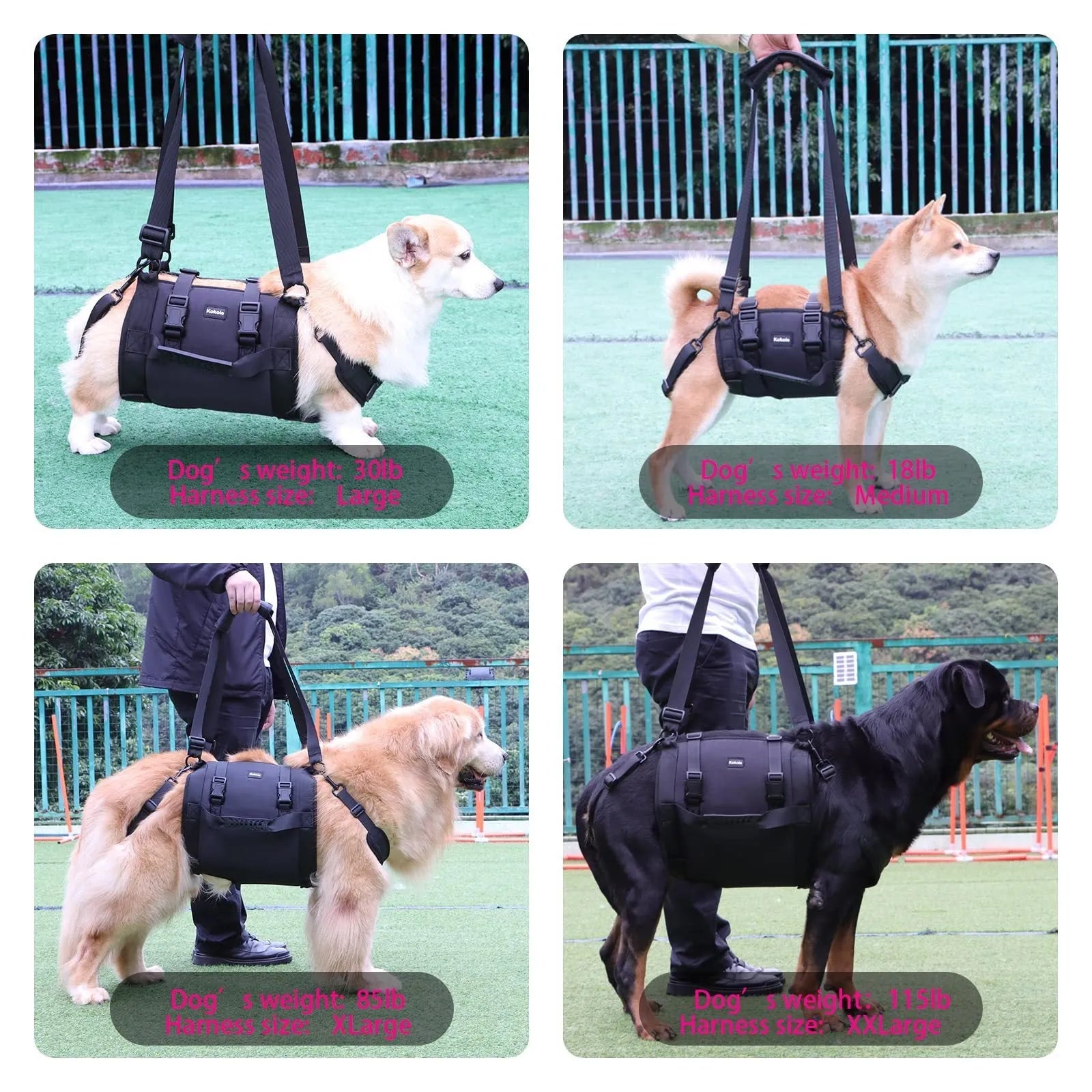 Black Oxford cloth dog harness shown on a dog, highlighting adjustable straps and chest support.