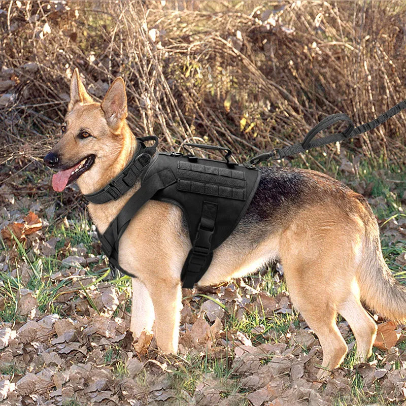 Tactics K9 nylon chest harness vest type dog collar in wolf brown single chest, adjustable S M L sizes