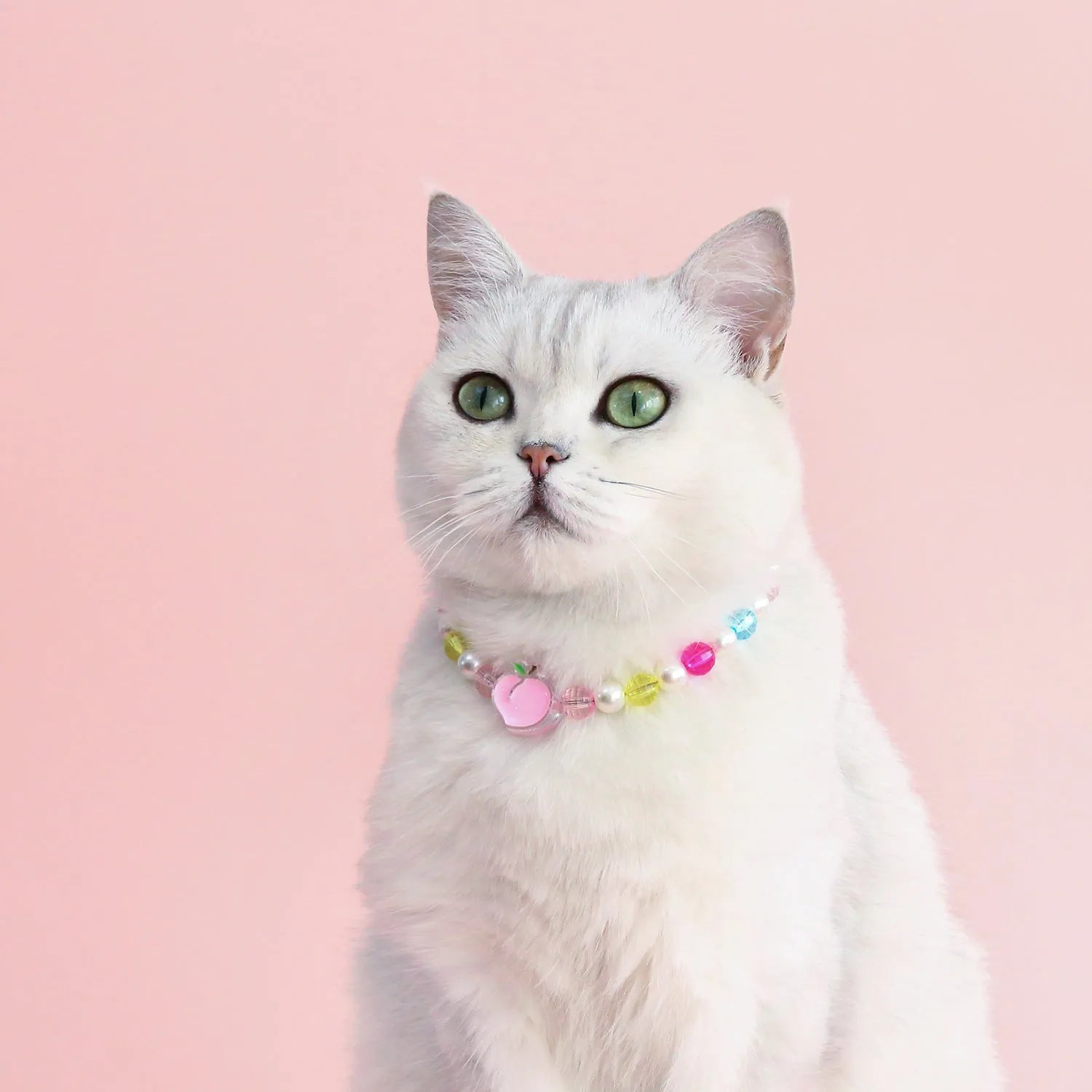 Colourful plastic bead cat necklace adjustable for pet wear in rainbow, peach, or small flower patterns